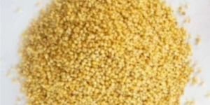 Organic Foxtail Millet