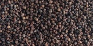 Black Pepper