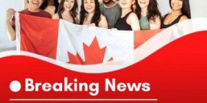 Tourist Visa Consultancy Services