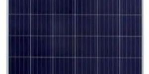 Vikram Solar Panels
