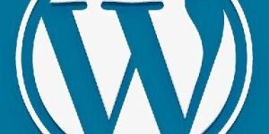 Wordpress Web Design Services