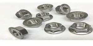 Stainless Steel Flange Nut