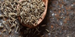 Cumin Seeds