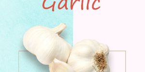 Garlic Paste