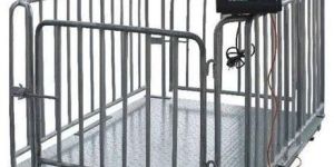 Animal Weighing Scale