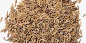 Cumin Seeds