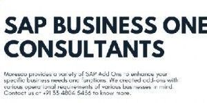 Sap Consultants Service