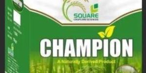 Printed Packaging Box