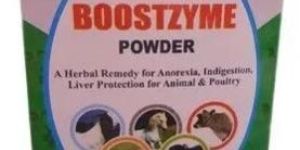 Shakti Boostzyme Powder