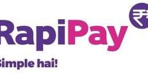 Rapipay Online Money Transfer Services