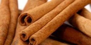 Cinnamomum Cassia