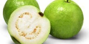 Natural White Guava