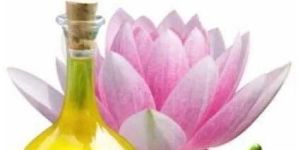 Lotus Essential Oil