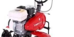 Petrol Power Weeder Pubert