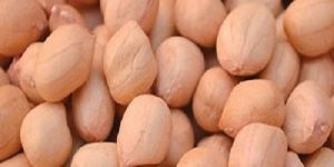 Java Groundnut Kernels