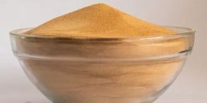 Spray Dried Tamarind Powder