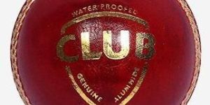 Leather Cricket Ball