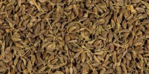 Anise Seed