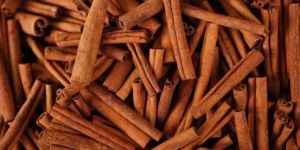Cinnamon Stick