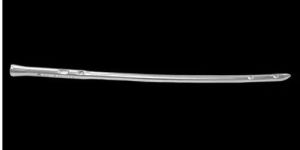 Interlocking Femur Nail