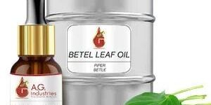 Betel Leaf Oil