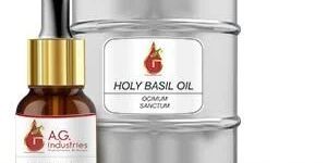 BP Grade Basil Oil