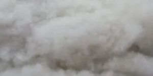 Polyester Staple Fiber