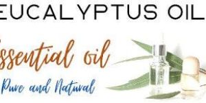 Eucalyptus Oil