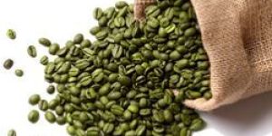 Green Coffee Bean Extract