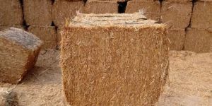 Animal Feed Wheat Straw