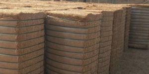 Gram Straw Animal Feed