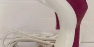 Electric Garment Steamer