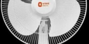 Orient Table Fan