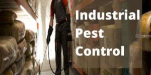 Industrial Pest Control Services
