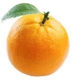 Mandarin Orange