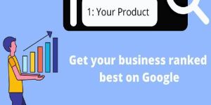 Best SEO Services in Delhi NCR