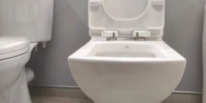 Jaguar Floor Mounted Commode