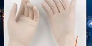 Latex Examination Gloves