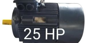 Induction Electric Motor