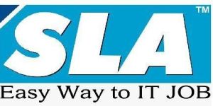 SLA Institute