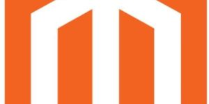 Magento Development Services