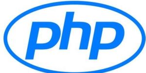 Php Development Service