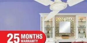 Polor Wall Fans
