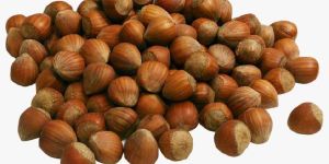 Hazelnuts