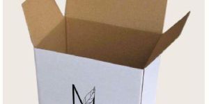 Eco Friendly Corrugated Monocartons