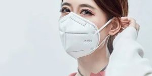 KN 95 Mask