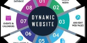 Dynamaic Website