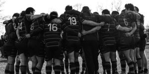 Business Cooperation Services