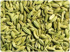Fennel Seeds