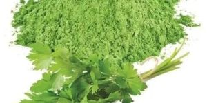 Coriander Leaves Powder